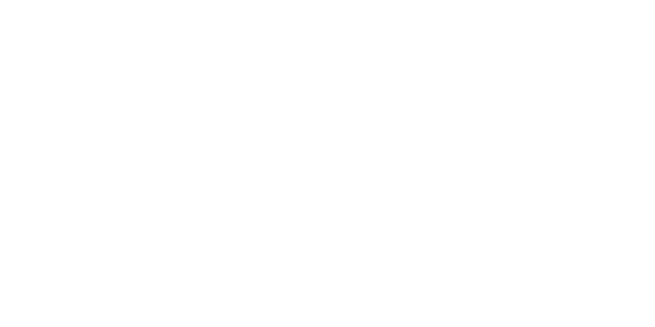 Logo Ariete
